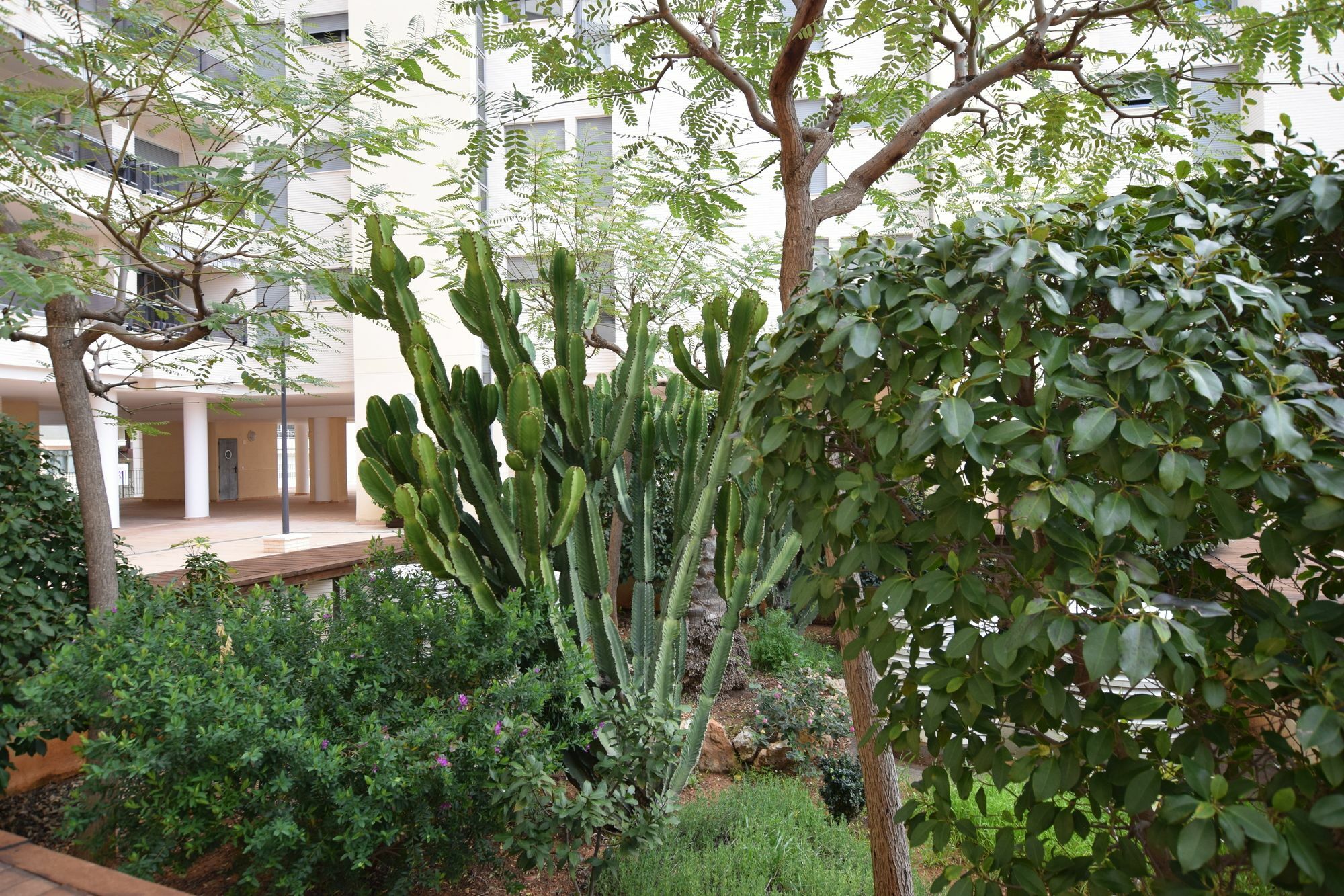Plaza Mayor 2 Bedroom Apartment Calpe Exterior photo